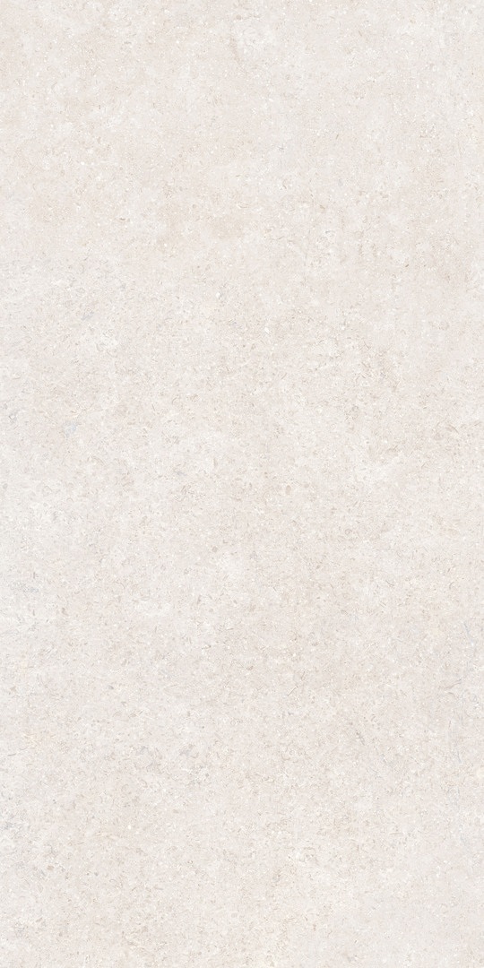 Керамогранит матовый SandStone белый 600*1200 R10AP