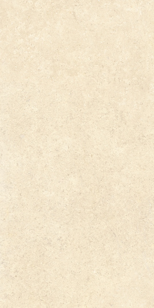 Керамогранит матовый SandStone песочный 600*1200 R10AP
